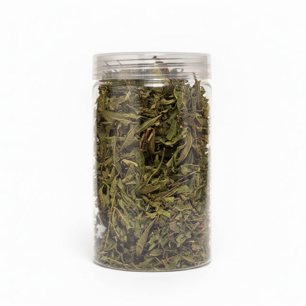 Lemon Balm