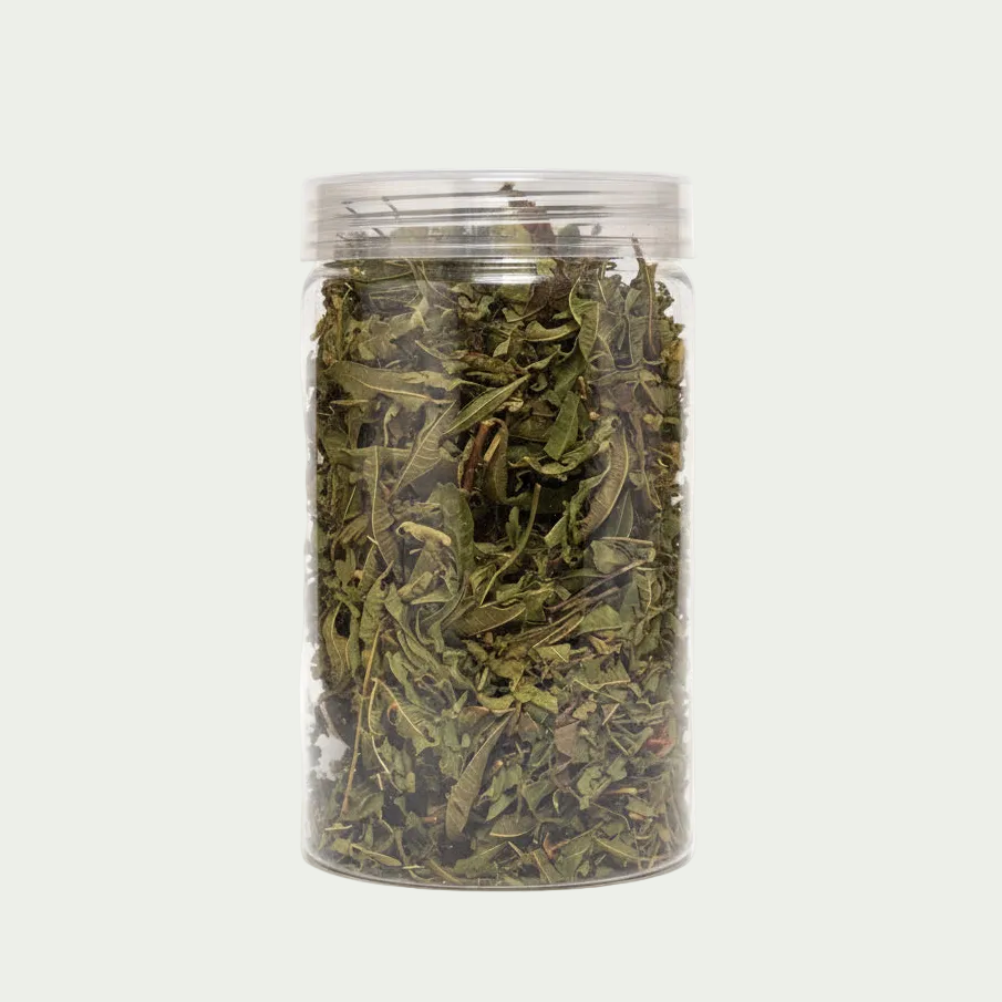 Lemon Balm